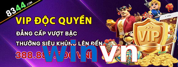 winvn