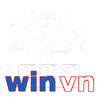 winvn