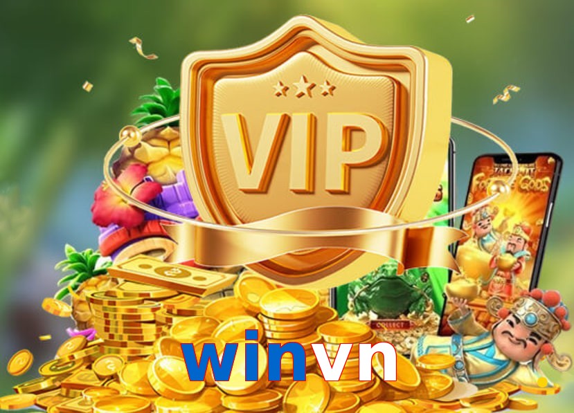 winvn